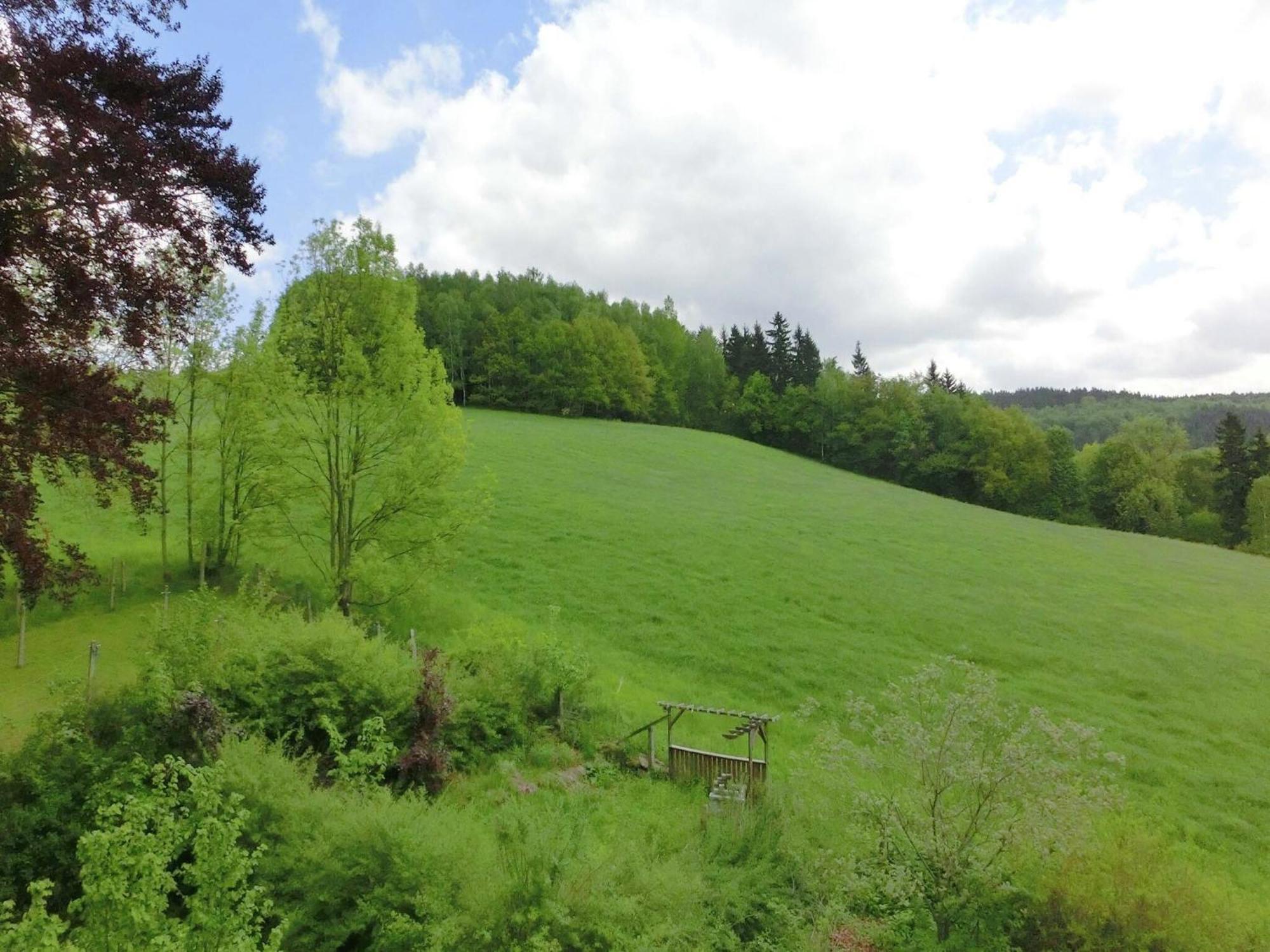 Leubsdorf Alluring Villa In Grunhainichen Borstendorf With Garden מראה חיצוני תמונה