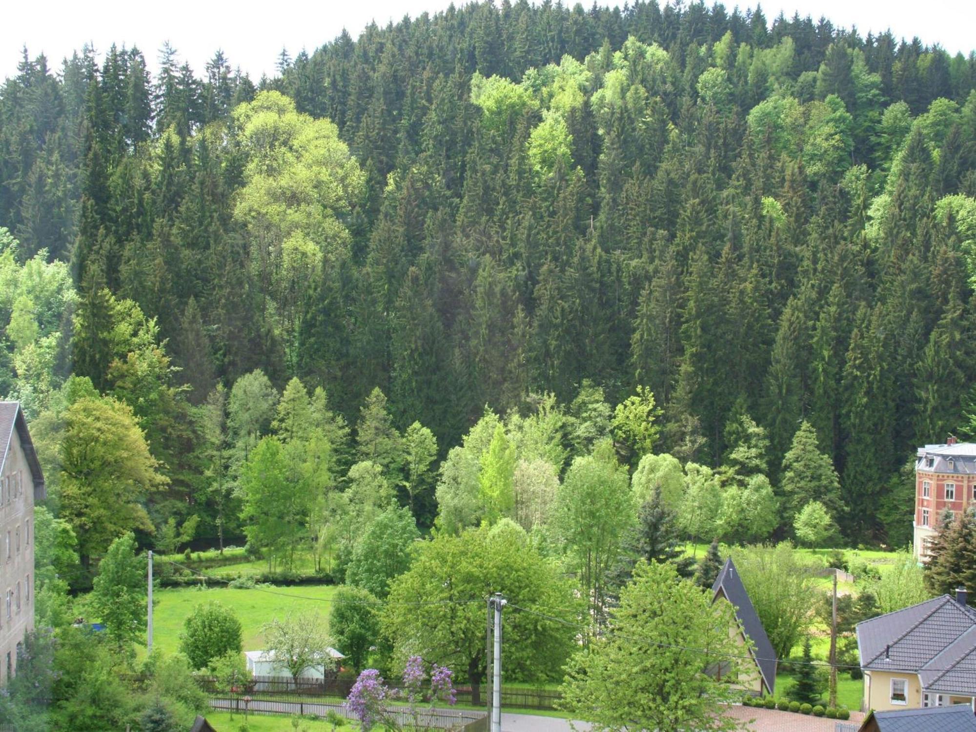 Leubsdorf Alluring Villa In Grunhainichen Borstendorf With Garden מראה חיצוני תמונה
