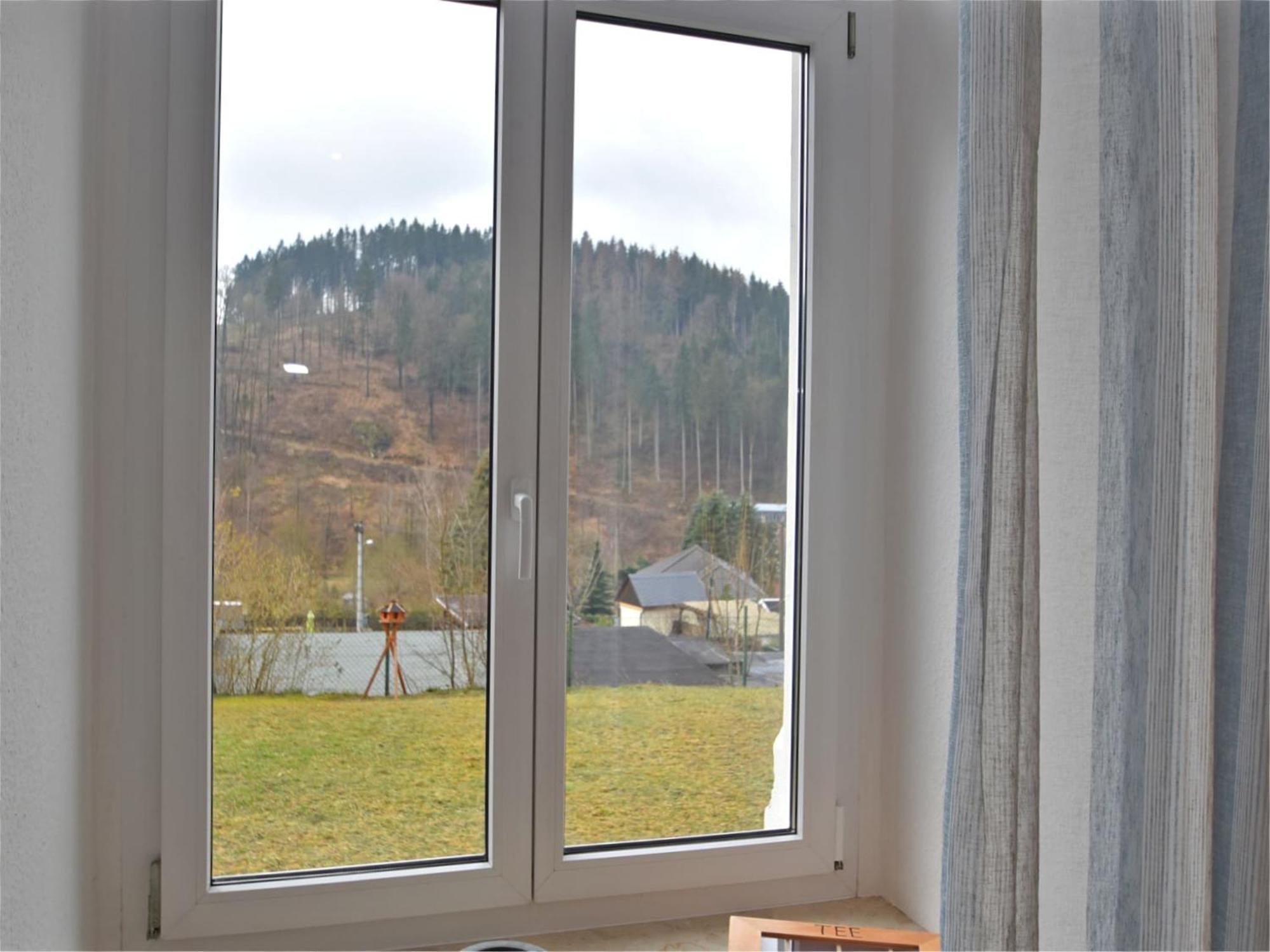 Leubsdorf Alluring Villa In Grunhainichen Borstendorf With Garden מראה חיצוני תמונה