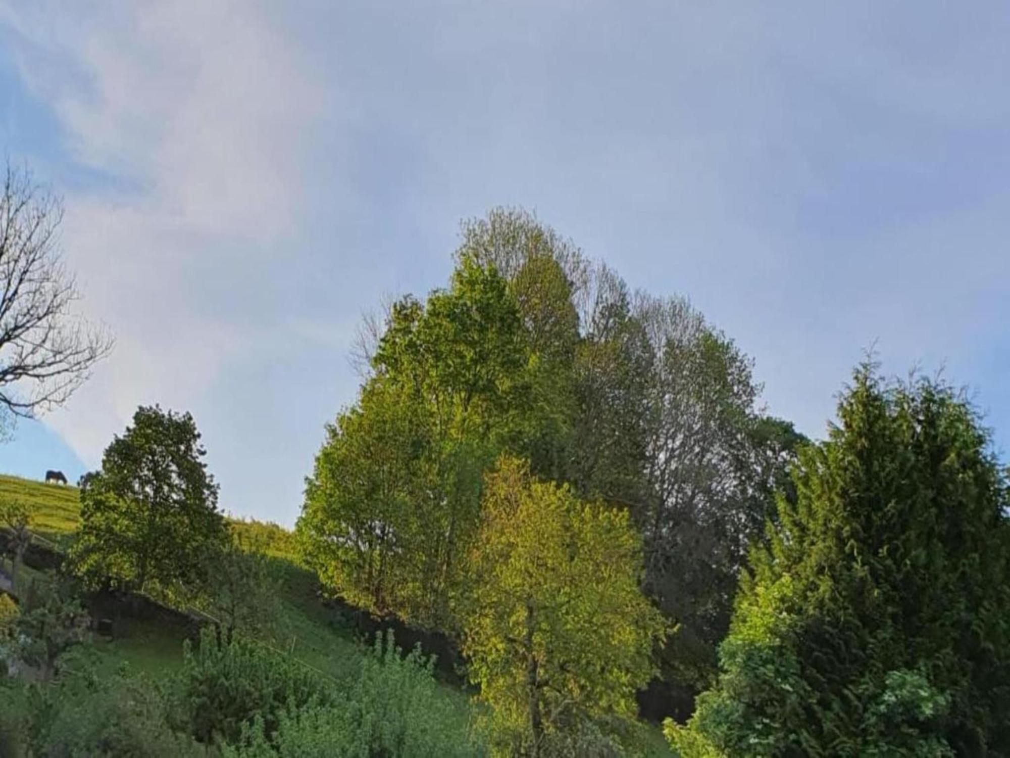 Leubsdorf Alluring Villa In Grunhainichen Borstendorf With Garden מראה חיצוני תמונה