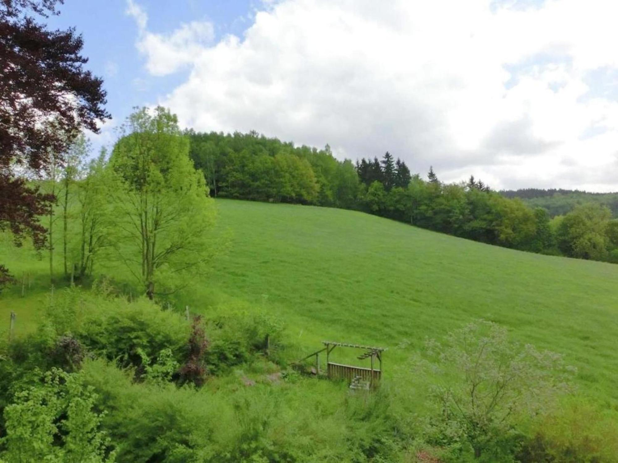 Leubsdorf Alluring Villa In Grunhainichen Borstendorf With Garden מראה חיצוני תמונה